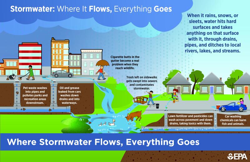 Stormwater Pollution