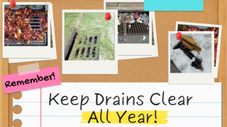 Keep Drains Clear