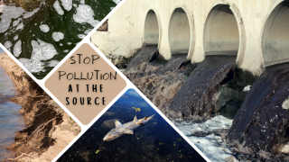 stop pollution